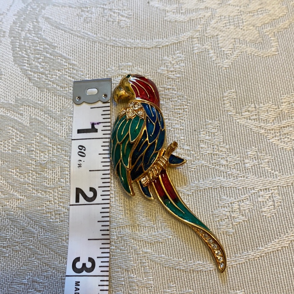 Very pretty parrot pin